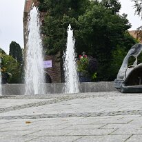 _DSC0020