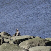 _DSC0055